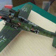 Fw 190 D Dora by James Hatch